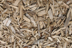 biomass boilers Whipcott